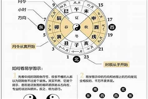 地支桃花|八字命理中的四桃花：子、午、卯、酉